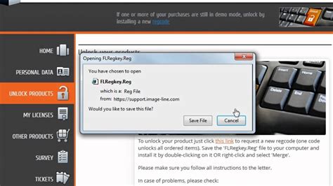 flregkey.reg 21 google drive
